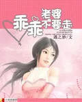 《乖乖老婆不要走》小说封面