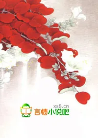 《废材狂妃:别惹腹黑四小姐》小说封面
