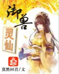 《御兽灵仙》小说封面