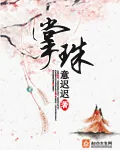 《掌珠》小说封面