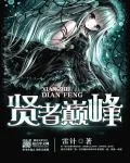 《贤者巅峰》小说封面