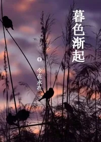 《暮色渐起》小说封面