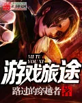 《游戏旅途》小说封面