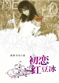 《象牙塔遗梦》小说封面