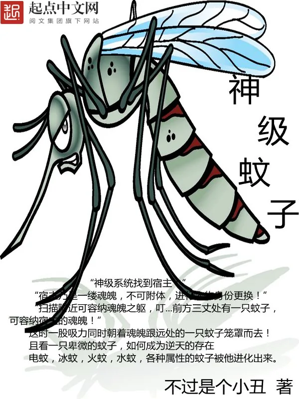 《神级蚊子》小说封面