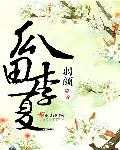 《瓜田李夏》小说封面