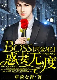 《聘金3亿,BOSS惑妻无度》小说封面