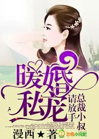 《暖婚私宠,总裁小叔请放手》小说封面
