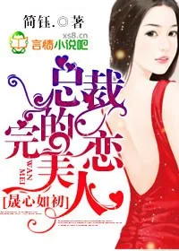 《晟心如初，总裁的完美恋人》小说封面