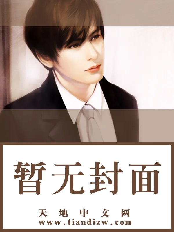 《四象奇者》小说封面