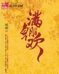 《绮梦璇玑》小说封面