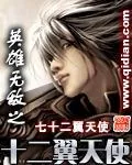 《英雄无敌之十二翼天使》小说封面