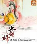 《贵妇》小说封面