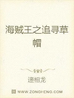《海贼王之追寻草帽》小说封面
