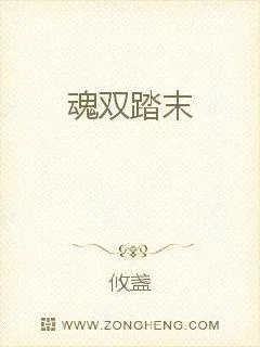 《魂双踏末》小说封面