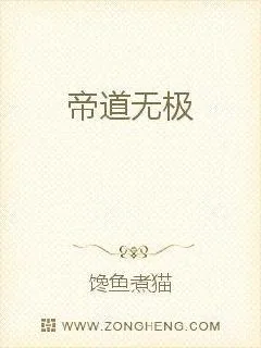 《帝道无极》小说封面