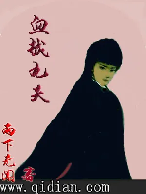 《血越九天》小说封面