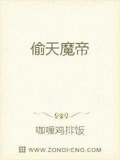 《偷天魔帝》小说封面