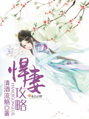 《悍妻攻略》小说封面