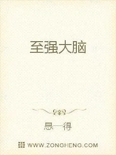 《至强大脑》小说封面