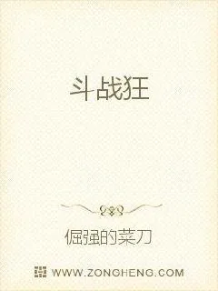 《斗战狂》小说封面