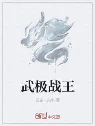《武极战王》小说封面