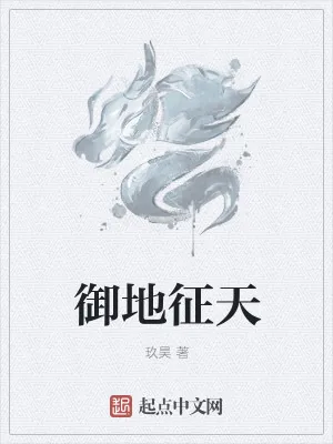 《御地征天》小说封面