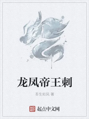 《龙凤帝王刺》小说封面