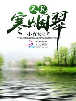 《又见寒烟翠》小说封面