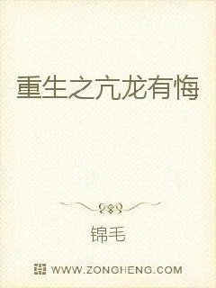 《重生之亢龙有悔》小说封面