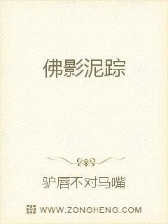 《佛影泥踪》小说封面