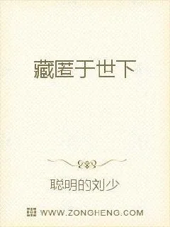 《藏匿于世下》小说封面