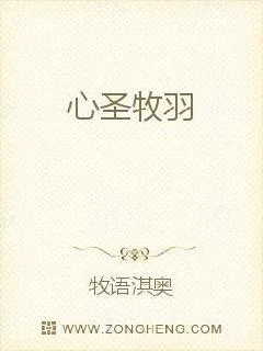《心圣牧羽》小说封面