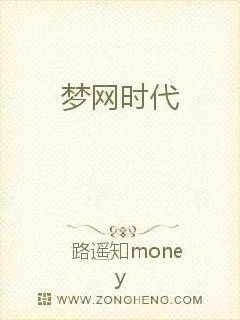 《梦网时代》小说封面