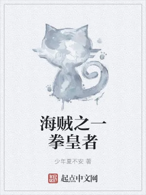 《海贼之一拳皇者》小说封面