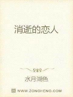 《消逝的恋人》小说封面