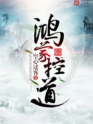 《鸿蒙控道》小说封面