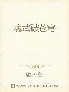 《魂武破苍穹》小说封面