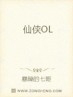 《网游之藏锋出鞘》小说封面