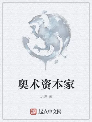 《奥术资本家》小说封面