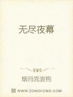 《无尽夜幕》小说封面