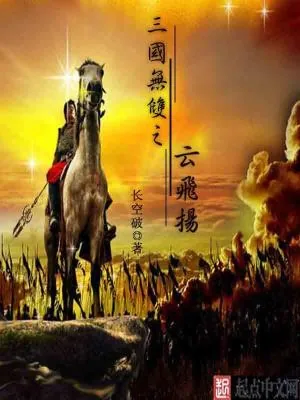 《三国无双之云飞扬》小说封面