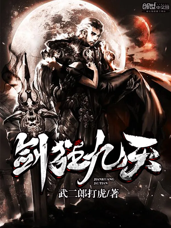 《剑狂九天》小说封面