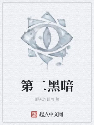 《第二黑暗》小说封面