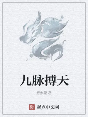 《九脉搏天》小说封面