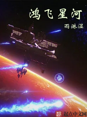 《鸿飞星河》小说封面