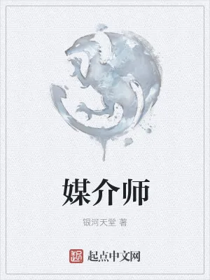 《媒介师》小说封面