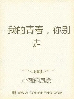 《我的青春你别走》小说封面