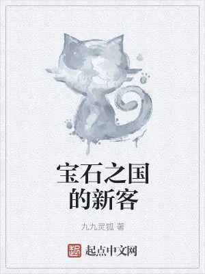 《宝石之国的新客》小说封面