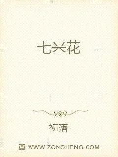 《七米花》小说封面